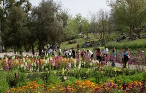אביב הגיע, פסח בא מגוון אירועי פסח לכל המשפחה בירושלים והסביבה 