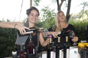 מצפינים לכפרים הגליליים ולפסגת החרמון בסופ"ש האחרון בפסטיבל "בשביל היין"